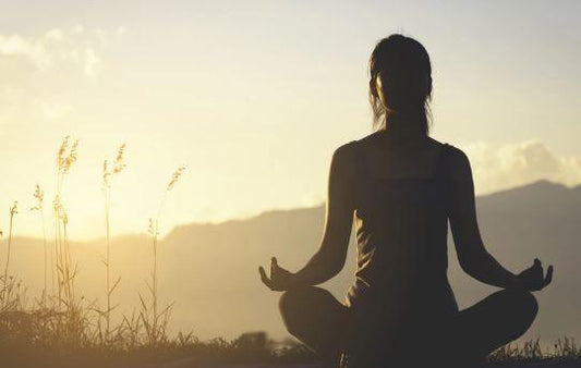 Ayurveda and Wellness Tips for a Healthy Lifestyle - GLEIN PHARMA