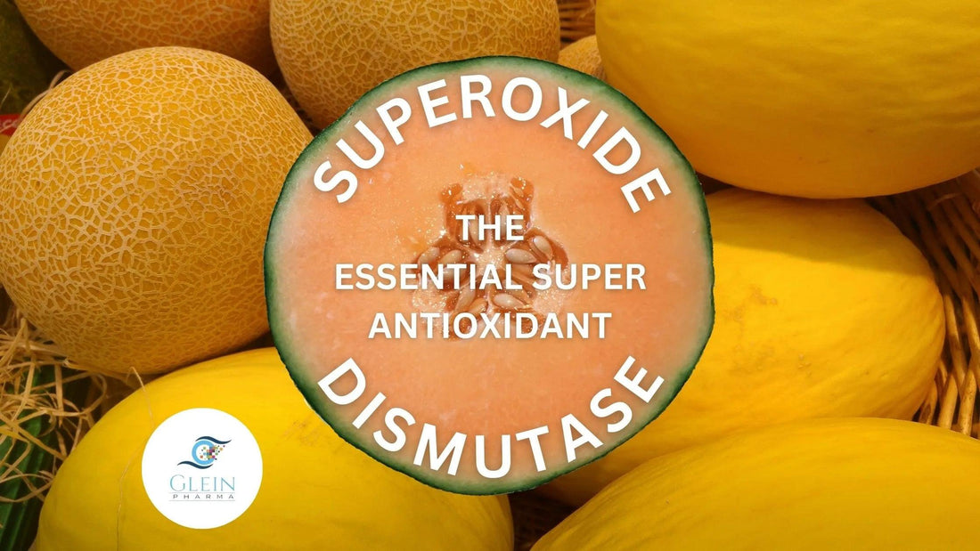 SOD SUPEROXIDE DISMUTASE AN ESSENTIAL SUPER ANTIOXIDANT FOR BODY